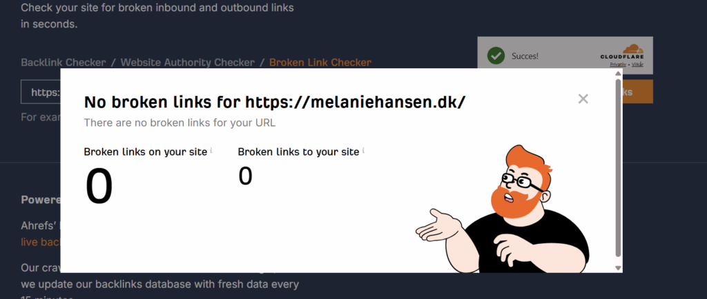 Billede af Melanie Hansens test af Broken links på hjemmeside